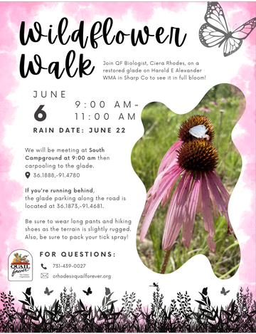 Event Wildflower Walk