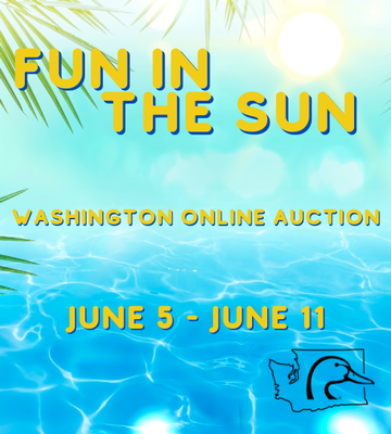 Event Fun in the Sun - Washington Online Auction