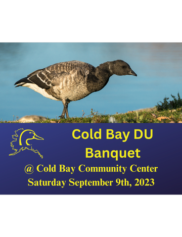 Event Cold Bay Banquet