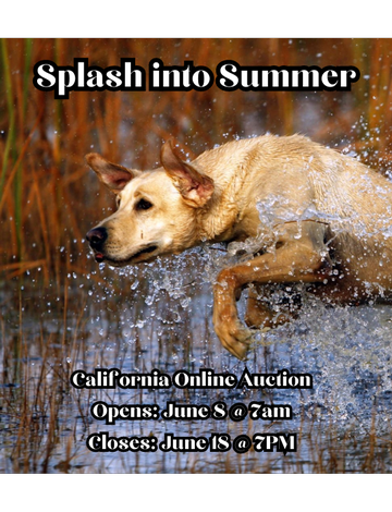 Event Splash into Summer Online Auction