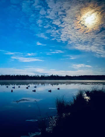 Event Flathead Valley (Kalispell) Ducks Unlimited Banquet