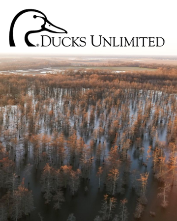 Event 2023 Sarasota Ducks Unlimited Dinner