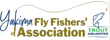 Event Fly Casting Clinic