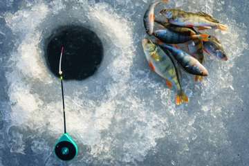 Event Madriver DU Oneida Lake Ice Fishing Tournament