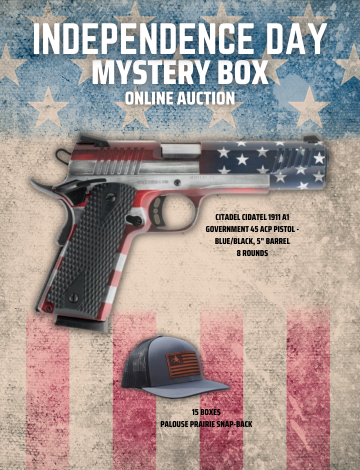 Event Independence Day Mystery Box Auction 