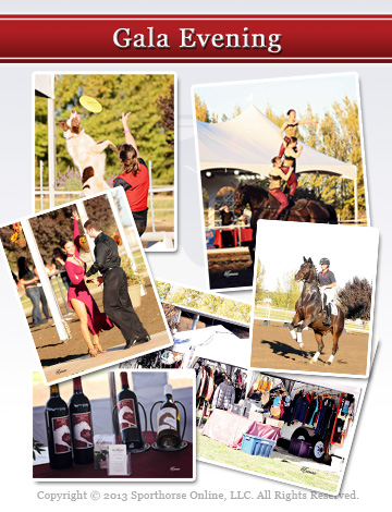 Event Pacific Sporthorse Selection 2013