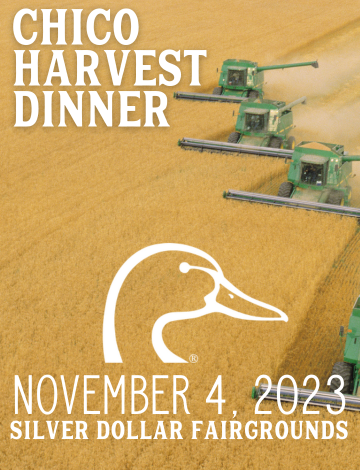 Event Chico Harvest Banquet