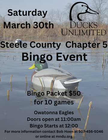 Event Steele County Bingo (Owatonna)