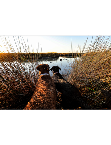 Event Marsh Creek Banquet 