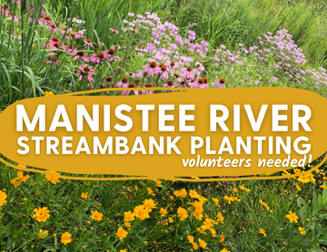 Event Manistee River Watershed Streambank Planting