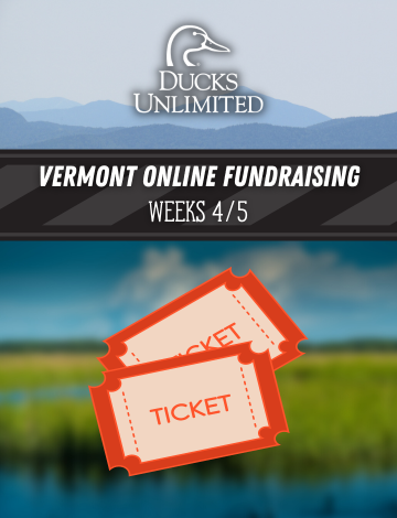 Event VTDU Online Fundraising Weeks 4/5