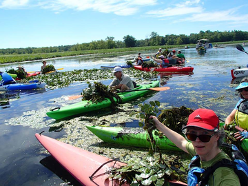 Event Invasive Water Chestnut Removal
