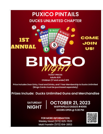 Event Puxico Pintails Bingo Night