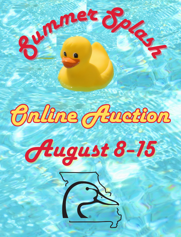 Event MO DU Summer Splash Auction