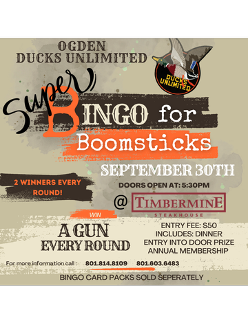 Event Ogden SUPER Bingo for "Boomsticks"