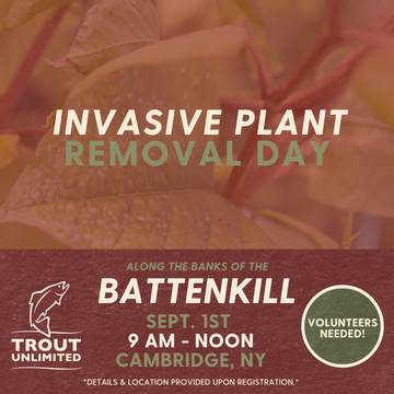 Event Battenkill Invasive Plant Removal Day