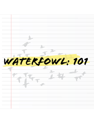Event Waterfowl: 101