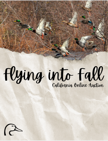 Event Flying into Fall - CA Online Auction