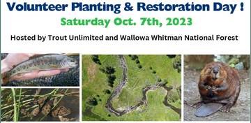 Event Sheep Creek Volunteer Planting & Restoration Day