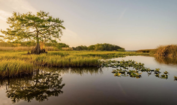 Event Saint Augustine Evening of Conservation