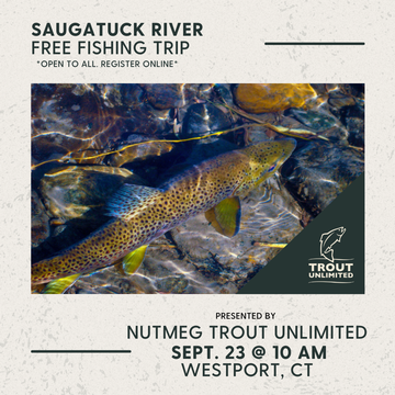 Event Saugatuck River Fishing Trip - Fly-Fishing Only