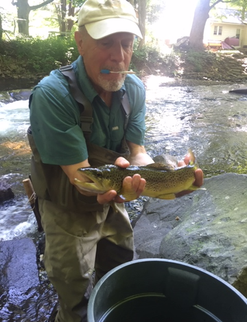 Event Public Meeting: Don Baylor Presents "Trout Stream Ecology"