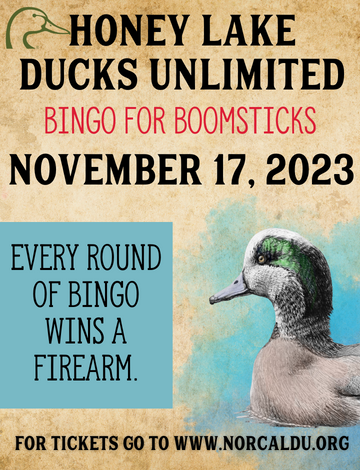 Event Honey Lake Bingo for Boomsticks