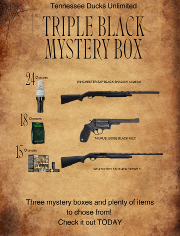 Event TNDU Triple Black Mystery Box Online Auction