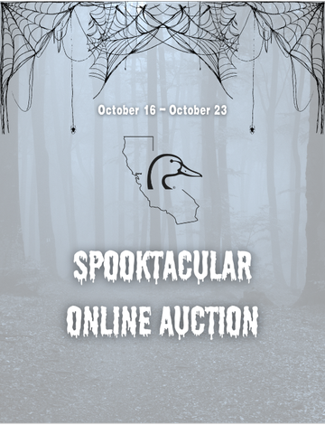 Event Spooktacular Online Auction