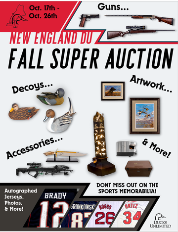 Event New England DU Fall Super Auction