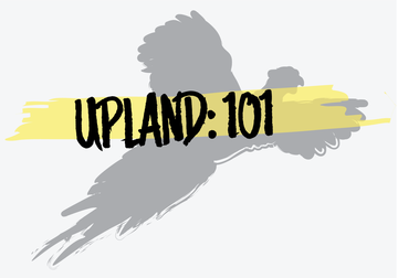 Event Upland: 101