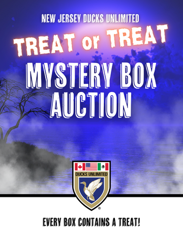 Event NJDU Treat or Treat Mystery Box Auction