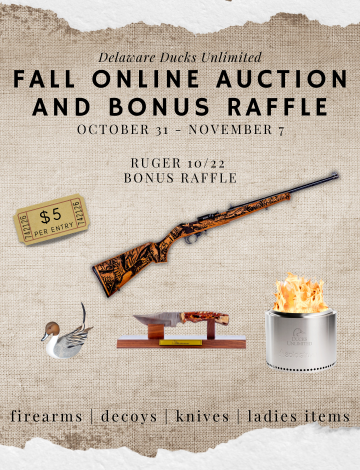 Event DEDU Fall Auction and Bonus Raffle