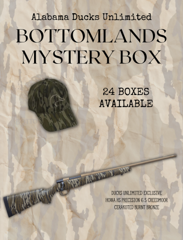 Event ALDU Bottomlands Mystery Box Online Auction