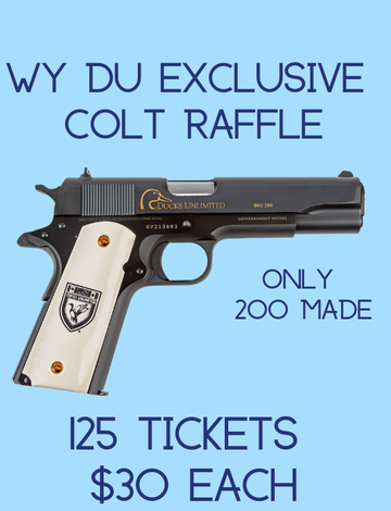 Event Exclusive Colt 1911