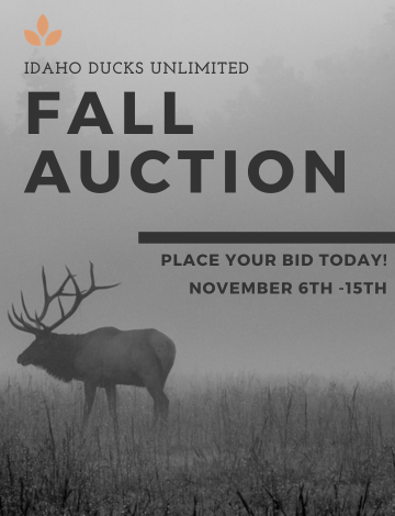 Event IDDU Fall Auction