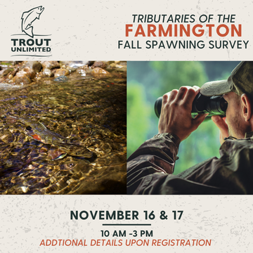 Event Farmington Valley TU- Tributary Spawning Survey