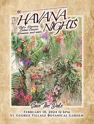 Event Havana Nights- The Botanical Gardens of Cuba