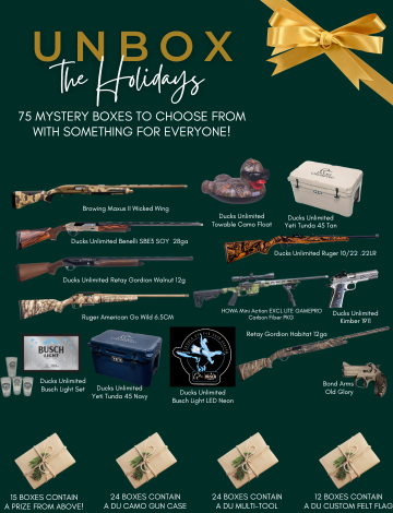 Event Unbox the Holidays Online Auction