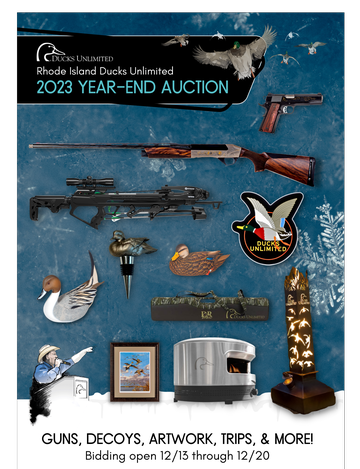 Event RIDU 2023 Year-End Auction