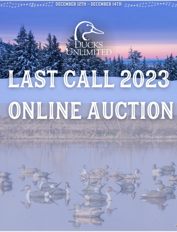 Event Last Call 2023 Online Auction