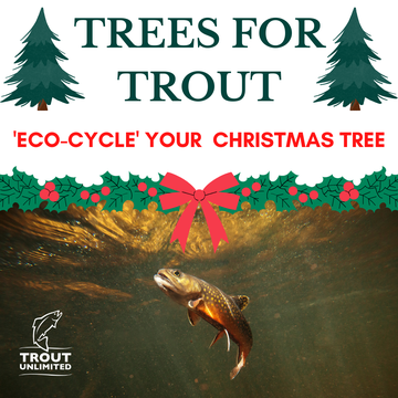 Event Trees for Trout: Stamford