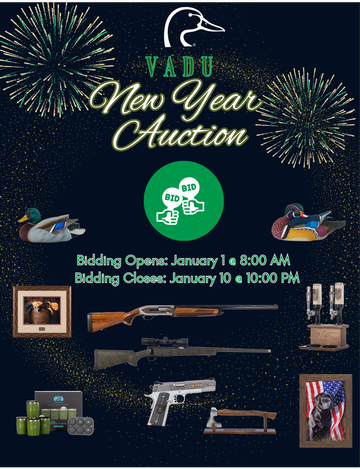 Event VADU 2024 New Year Auction