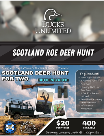 Event Scotland Roe Deer Hunt for Two