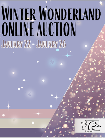 Event Winter Wonderland Online Auction