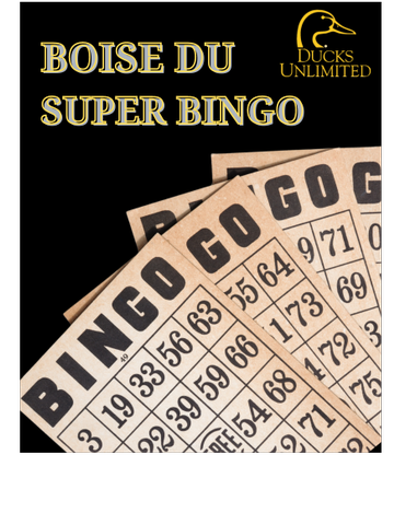Event Boise Super Bingo 