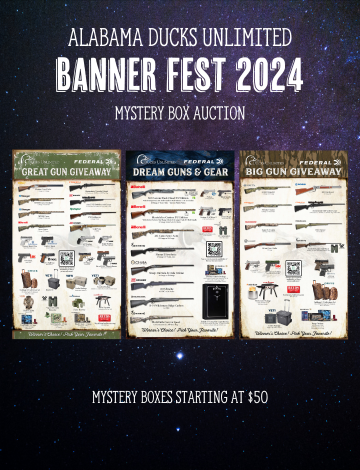 Event ALDU Banner Fest 2024