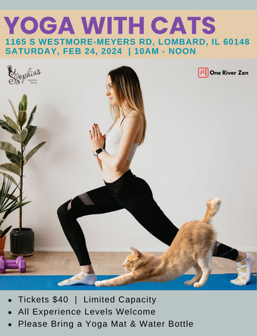 Event STSFF 2024 - Cat Yoga with One River Zen