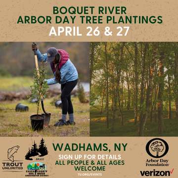 Event Boquet River Arbor Day Tree Planting