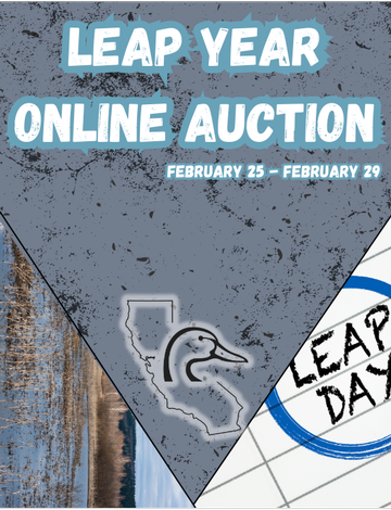 Event Leap Year Online Auction